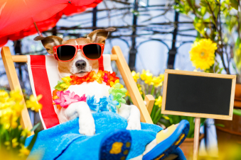 Urlaub2_Fotolia_142699193_M.jpg
